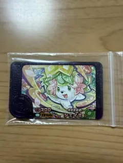 ポケモンフレンダ ベストタッグ第2弾 レア枠 シェイミ