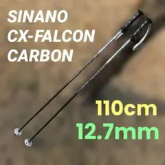 Item thumbnail for item 543f0c0f-b664-4b38-ba82-31d2aae514a7