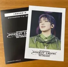 2025年最新】seventeen 映画 特典 ウォヌの人気アイテム - メルカリ