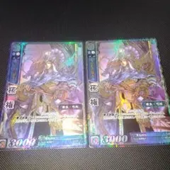 9/30まで　三国志大戦tcg 呉軍 天下無双レア＆プラチナレアセット 三国志大戦TCG 天下無双レア44枚 TR 三国志大戦TCG 天下無双レア44