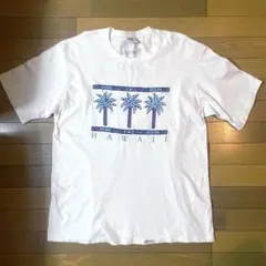 Item thumbnail for item 956ab105-5d31-407b-8a1e-5e5d112f16d2