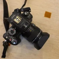 2025年最新】DMC-GH2の人気アイテム - メルカリ