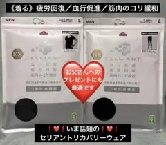 セリアント リカバリーウェア上・下（Ｌ） 「着る」疲労回復/血行促進/筋肉緩和