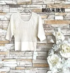Ray Cassin レイカズン ベージュ リブ編み 半袖 ニット ストレッチのサムネイル