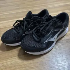Mizuno マキシマイザー26 25cm