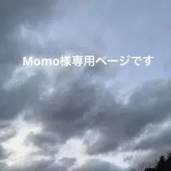 Momo様専用ページです