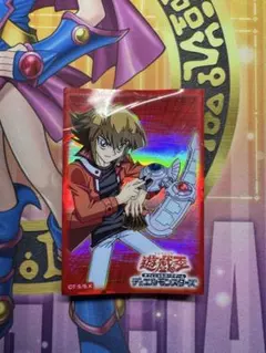 遊戯王 デュエリストカードプロテクター 遊城十代 30枚