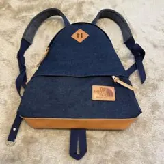 ノースフェイス デイパック　パープルレーベル