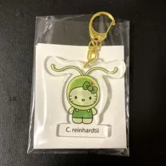 ハローキティ 関西大阪万博 日本館限定 キーホルダー 藻類 サンリオ