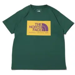 THE NORTH FACE グリーン Tシャツ Lサイズ