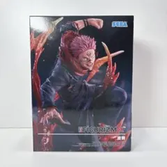 呪術廻戦 FIGURIZMα 宿儺 フィギュア - メルカリ