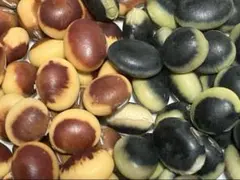 ♡h*gracefully♡様 リクエスト 3点 まとめ商品