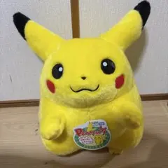 ①ポケットモンスター ポケモン30周年記念 おかえり!ピカチュウ1/1