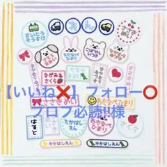 【いいね❌】フォロー⭕️プロフ必読‼︎様専用 お名前ワッペン