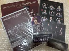 &TEAM AWAKEN THE BLOODLINE ENCORE⭐︎デジコ無し⭐︎