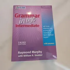 Grammar in Use Intermediate 第3版