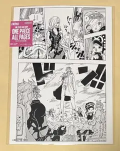 ONE PIECE ALL PAGES アラバスタ編 ナミ ビビ - メルカリ