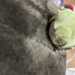 もちもちマスコットミニ刀剣乱舞　鶯丸