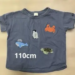petit main 刺繍Tシャツ　110cm