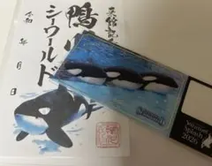 鴨川シーワールド シャチ 濡れないチケット 限定 8月 - メルカリ