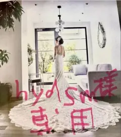 PRONOVIAS AETHRA ウェディングドレス マーメイド 美品 - メルカリ
