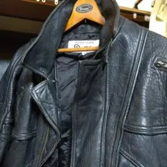 Item thumbnail for item d107ec5a-7cc2-4a6e-9ad9-f4aea06303cc