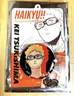 ハイキュー 缶バッジ＆特製ホルダー 烏野 月島蛍