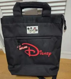 team disney チームディズニー リュック ディズニーリゾート