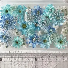 No.63 小花のドライフラワーセット