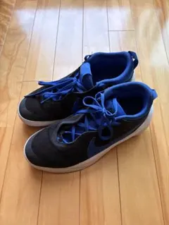NIKE SB✨チャージ キャンバス ブラック 黒 27cm スケートシューズ 