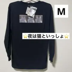 Item thumbnail for item 0c0399df-24fd-42d3-ade2-abf5bdc01e3c