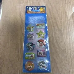 ポケットモンスター アドバンスジェネレーション　　エアインシールA