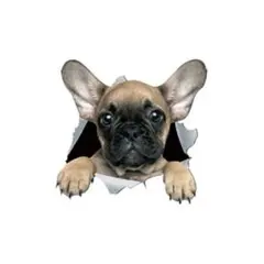 フレンチブルドッグ　子犬　ステッカー　大きい　車用 冷蔵庫 洗濯機 窓