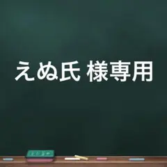 えぬ氏 様専用