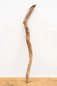 Item thumbnail for item cf7a5484-de6d-4941-b491-40b73a2efe32