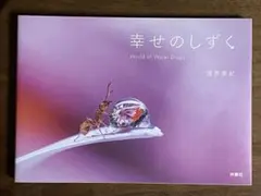 Item thumbnail for item 0b66b69e-eace-484d-af13-4a3defb956a4