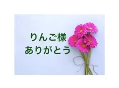 りんご様専用ページ/S