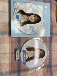 Item thumbnail for item 9d33cd2b-6aea-44e7-8cab-43a0fda83e5b