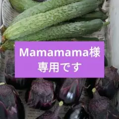 【Mamamama様専用です】新潟黒十全茄子、シャキットきゅうり
