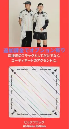 Item thumbnail for item 04d40548-5f83-4c34-878d-957f2c304bfe