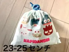 サンリオ　靴下　ポーチ　セット　あったかソックス　はぴだんぶい　ポチャッコ