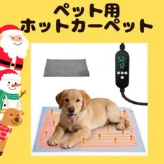 Item thumbnail for item 4f4a78d2-747f-4ee9-8d70-1a4f7022a2a6