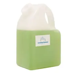 Item thumbnail for item c95a8ed0-d6d5-4f13-84fd-cfb22fb6f9b2