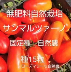 サンマルツァーノトマト　種15粒　無肥料自然栽培　自然農　固定種　自家採種