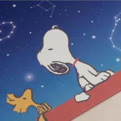 スヌーピー 星空スヌーピー 拭ける PVC キッチンマット 約45× 240cm