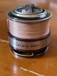 2025年最新】daiwaカルディア2506の人気アイテム - メルカリ