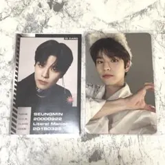 Straykids トレカ スンミン Oddinary MAXIDENT