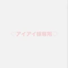 アイアイ様専用
