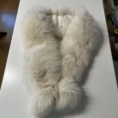 Item thumbnail for item a0995aea-899a-4273-b01c-fa93697c95e6