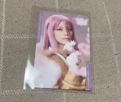 刀ミュ 乱舞博覧会 感謝札 入場特典 蜂須賀虎徹